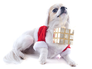 Image showing santa claus chihuahua