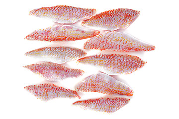 Image showing fillets of goatfish