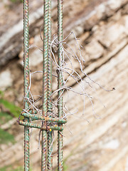 Image showing Steel rod or bar used to reinforce concrete