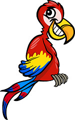 Image showing macaw clip art cartoon illustration