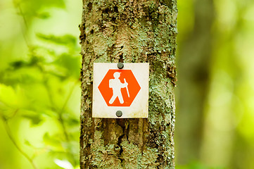 Image showing orange hiking trail sign