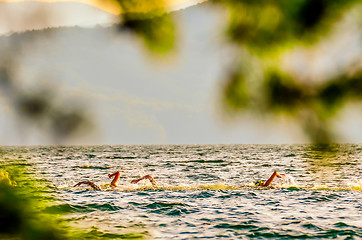 Image showing swimming competition on lake