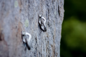 Image showing Climbing carabiner 