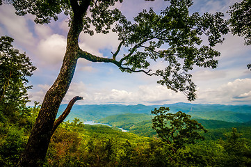 Image showing old tree overlooking mountains