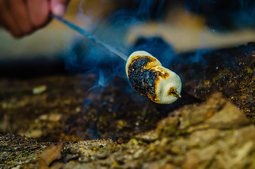 Image showing Marshmallow on a stick over the fire