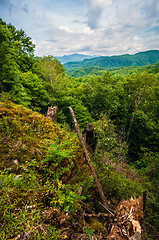 Image showing scenery around lake jocasse gorge