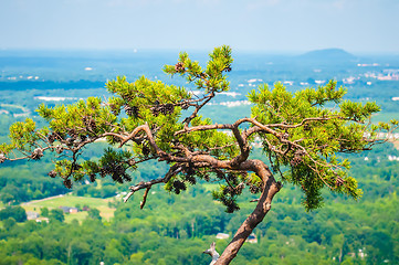 Image showing beautiful aerial landscape views from crowders mountain north ca