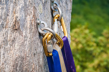 Image showing Climbing carabiner 