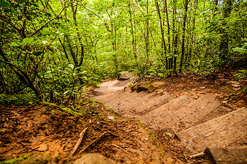 Image showing steps on hiking trail