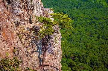 Image showing beautiful aerial landscape views from crowders mountain north ca