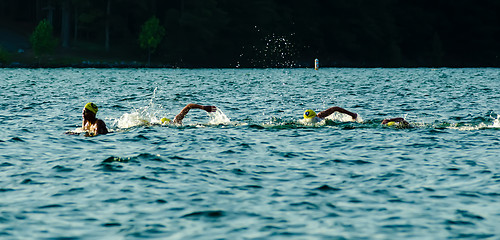 Image showing swimming competition on lake