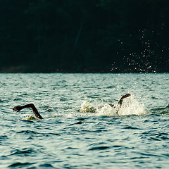 Image showing swimming competition on lake