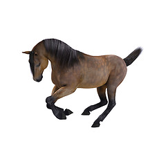 Image showing Horse