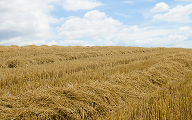 Image showing swaths