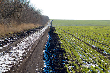 Image showing dirty road