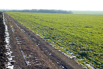 Image showing along field