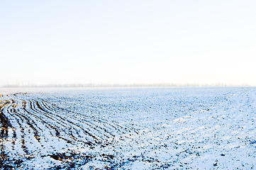 Image showing cultivated field under snow