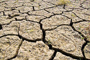 Image showing drought