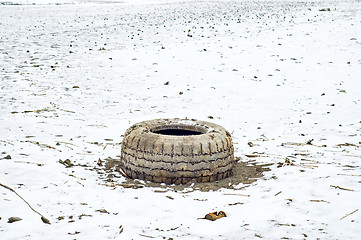 Image showing frosty wheel
