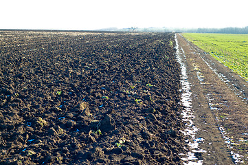 Image showing soil