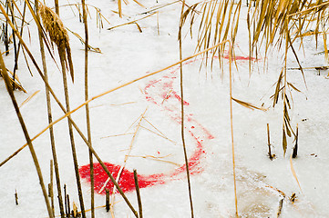 Image showing animals blood over snow