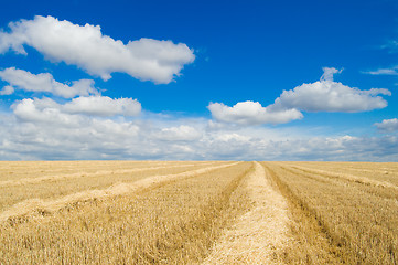 Image showing cool sky