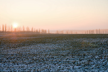 Image showing cultivated field under snow