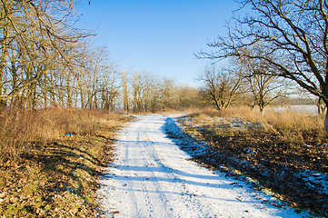 Image showing winter road through the wood