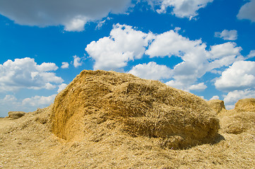 Image showing haystack