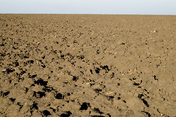 Image showing black field