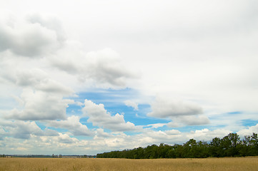 Image showing landscape