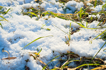 Image showing snow