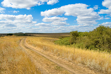 Image showing road in steppe