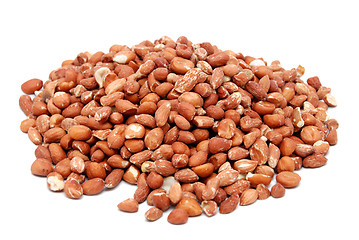 Image showing Pile of shelled peanuts