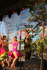 Image showing Belgrade Boat Carnival