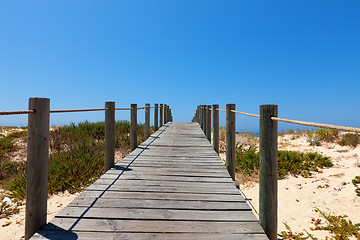 Image showing Boardwalk protecting a fragile dune ecosystem