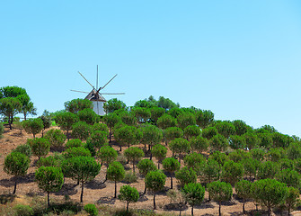 Image showing Windmill above a plantation of trees