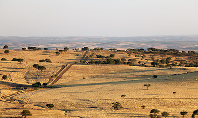 Image showing Rural landscape with grassland and trees