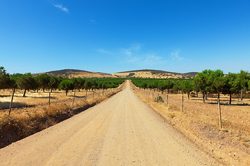 Image showing Long straight gravel road