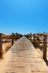 Image showing Boardwalk protecting a fragile dune ecosystem