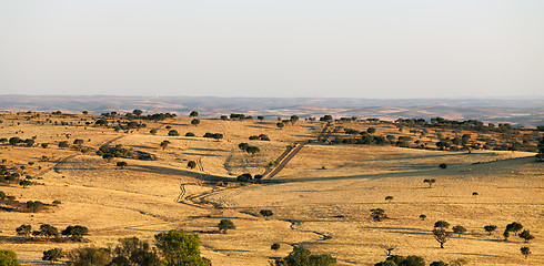 Image showing Rural landscape with grassland and trees