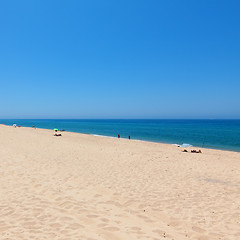 Image showing Beautiful tropical beach with bathers