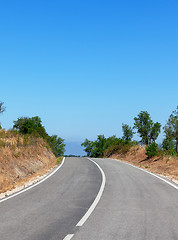 Image showing Tree-lined tarred road