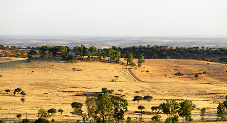 Image showing Rural landscape with grassland and trees