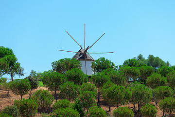 Image showing Windmill above a plantation of trees