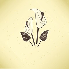 Image showing Vector illustration of calla lilies