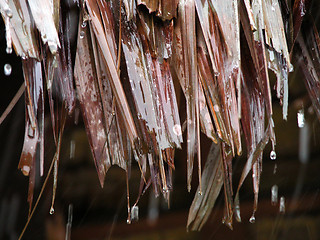 Image showing rain drops on attap roof