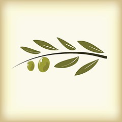 Image showing Olives on branch with leaves.