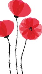 Image showing Spring card with beauty poppies.