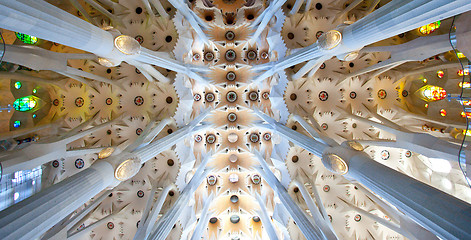 Image showing La Sagrada Familia, interior